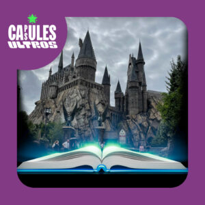 L&rsquo;histoire magique d&rsquo;Harry Potter dans les parcs