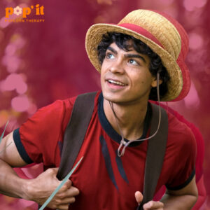 Pop&rsquo;it : One Piece